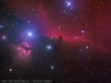 horsehead